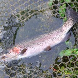 また高島の泉へ